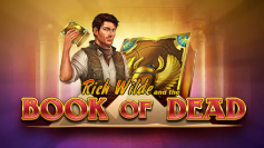 Book of Dead sur Spin Dynasty Casino